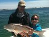 trout_429.jpg