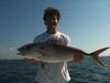 trout_501.jpg