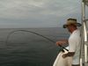 trout_550.jpg