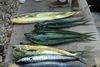 vacation2010-small-183.jpg
