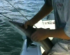watch_your_hands_capt_.PNG