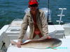 whipasnapa_2009_025.jpg