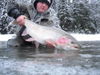 winter-steelhead.JPG