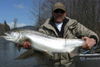 480x320-marc-girard-kitimat-river-steelhead.JPG