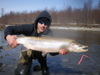 480x360-kitimat-river-steelhead.JPG