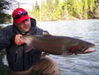 480x361-rob-vodola-skeena-kalum-river-steelhead.JPG