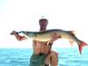 748Steve_with_43_inch_muskie-Lk_ST_Clair_7-28-04small_pic.JPG