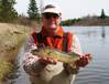 748ausable_walleye2.JPG