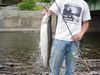 8-20-07SkamaniaSteelhead.jpg