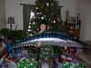 2010Xmas_Fish.JPG