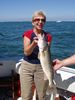 Glenda_s_Walleye.jpg