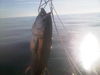 IMG-20120101-000651.jpg