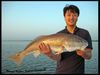 IMG_6031_redfish.JPG