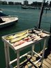 Jupiter_Fishing_Charters_1.jpg