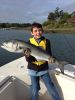 Wrightsville_Creek_Bluefish.jpg