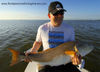 bm-bull-redfish.jpg