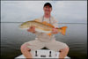 dp-bull-redfish-7-13.JPG