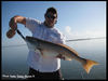 hpredfish002fs.JPG