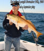 redfish_topwater_plug_11_25_08.jpg