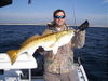 redfish1201.jpg