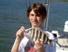 JohnNimmer-13in-bay-sheep.JPG