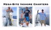 megabite20081.JPG