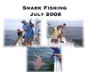 sharkjuly2008.JPG