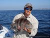 BigSheepshead.jpg