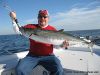 Kingfish111909-1.jpg