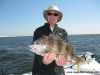 bigsheepshead-1.jpg