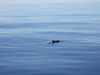 DSCF4070.JPG