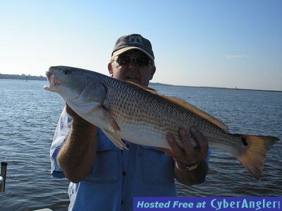 Click to Enlarge Photo