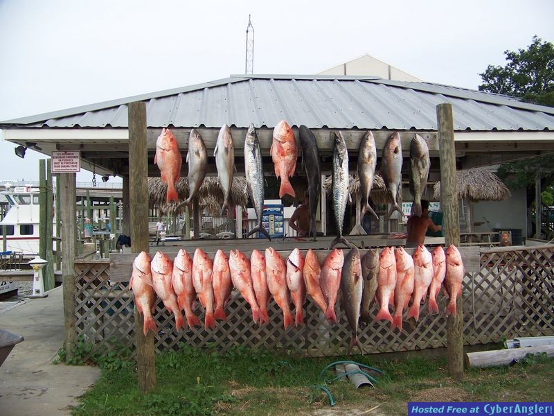 Red Snapper Tournament