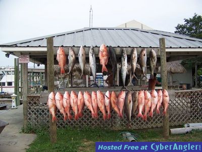 Red Snapper Tournament