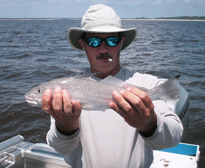 Click to Enlarge Photo