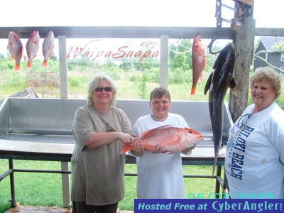 cobia,red snapper caught on the whipasnapa