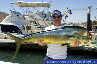 Click to Enlarge Photo