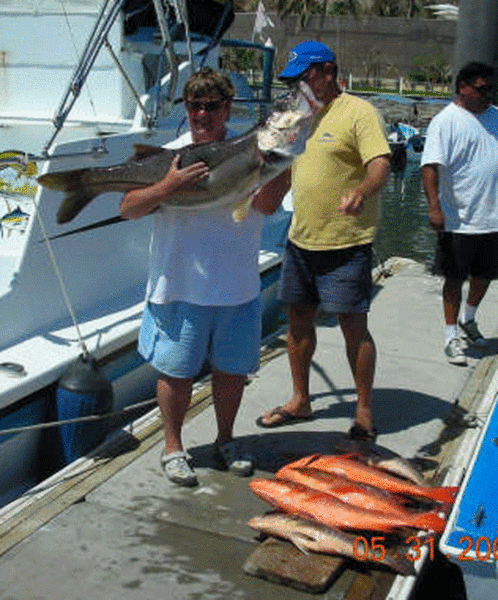 Cabo Snook