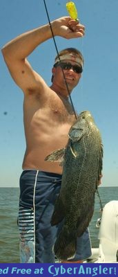 Click to Enlarge Photo