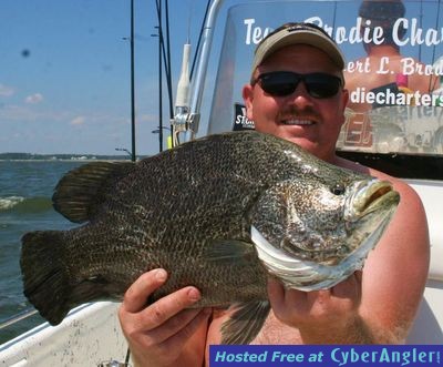 Click to Enlarge Photo