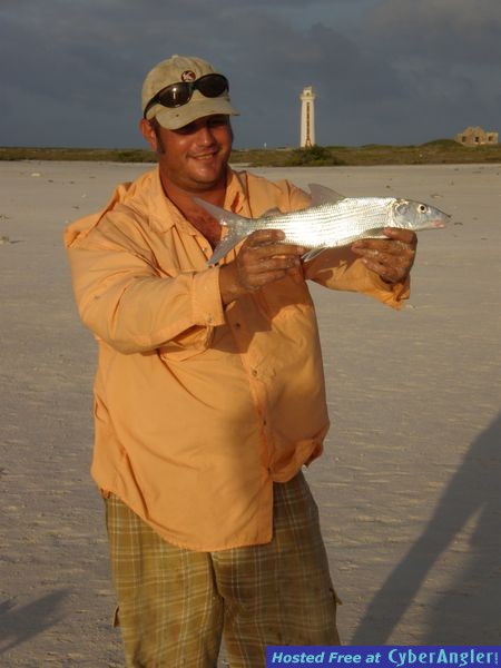 The Bounties of Bonaire
