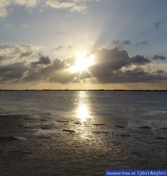The Bounties of Bonaire