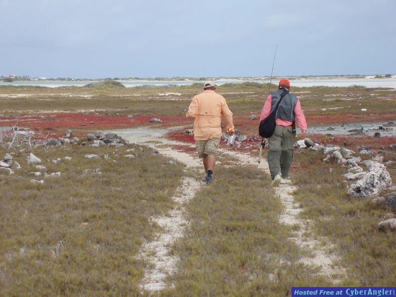 The Bounties of Bonaire