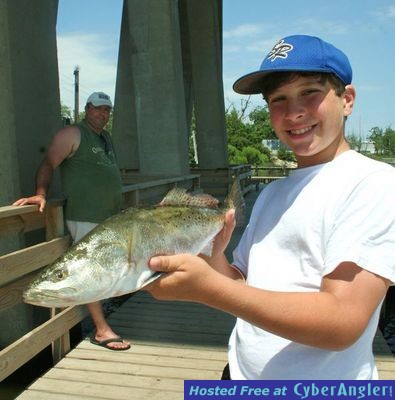 Click to Enlarge Photo