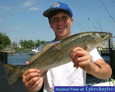 Click to Enlarge Photo