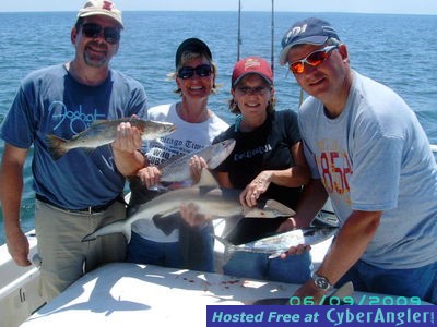 Click to Enlarge Photo