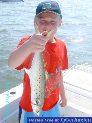 Click to Enlarge Photo