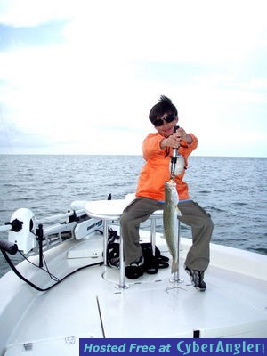 Click to Enlarge Photo