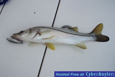 Click to Enlarge Photo