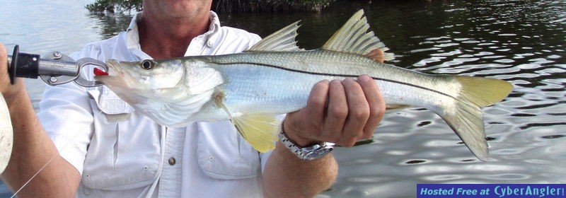 quarter_ounce_red_XL_Hook_Up_lure_n_snook